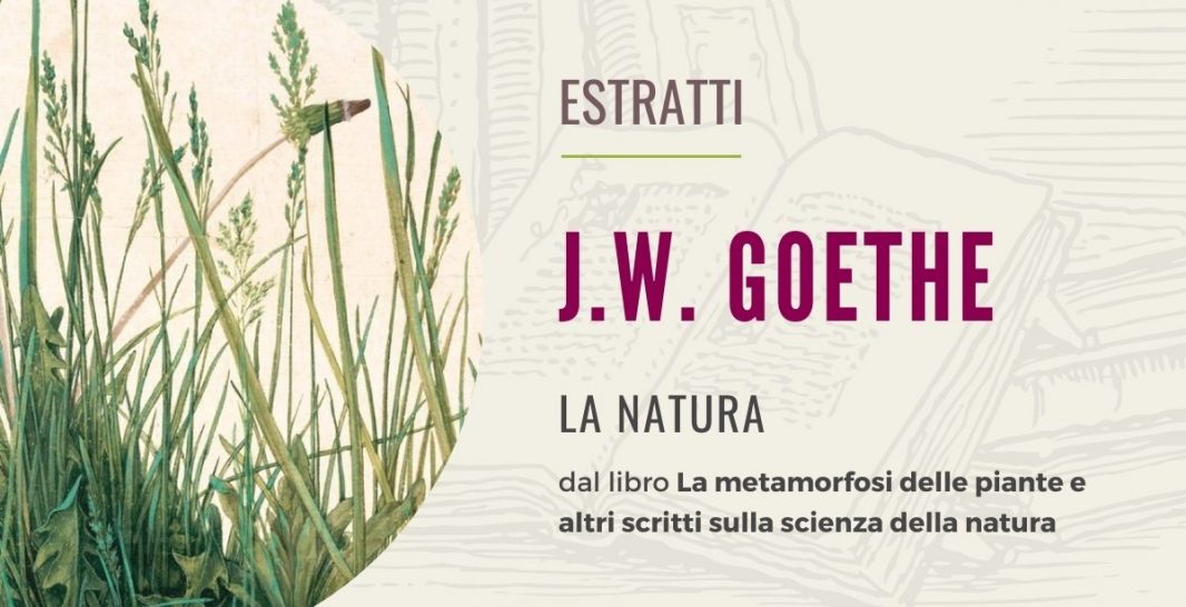 cover-estratti-goethe-natura