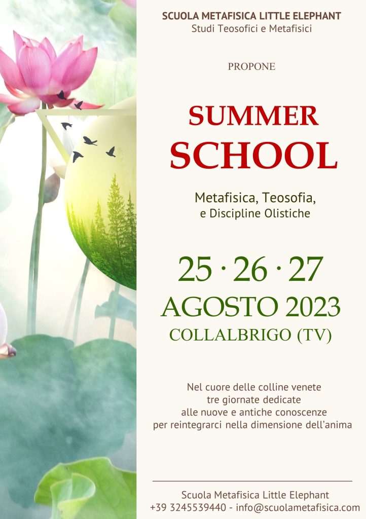 Flyer_Summer_School_2023