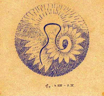 05-leo-zodiaco-steiner