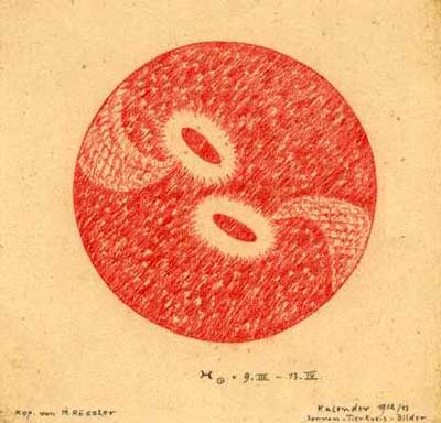 12-pisces-zodiaco-steiner